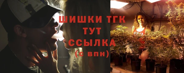 амф Володарск