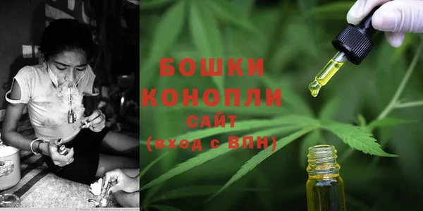 PSILOCYBIN Верхний Тагил