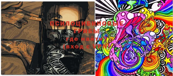 PSILOCYBIN Верхний Тагил