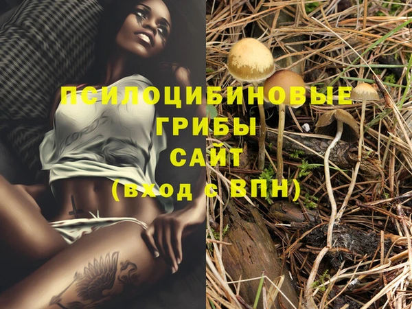 тгк Верхнеуральск