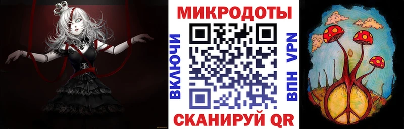 ОМГ ОМГ как войти  Гаврилов-Ям  Галлюциногенные грибы Psilocybine cubensis 